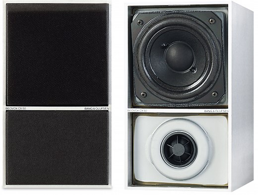 Bang & Olufsen Beovox CX50 Loudspeaker
