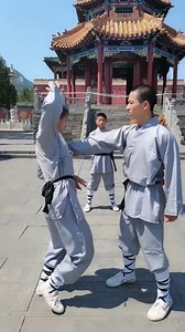(Self-defense tips) Shaolin Grappling Songshan Shaolin Civil and Martial Arts School #selfdefense #defender #defense #learning #teaching #techniques #kungfu #boxing #training #reels #reels2023 #reelsusa #fyp #martialarts | Elite Drama