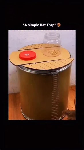 TECHTONIC on Instagram: "This footage documents the functional mechanics of a gravity-actuated DIY rodent trap constructed from a cylindrical drum and a pivoted cardboard platform. The visual narrative captures the precise moment a rodent traverses a climbing mesh to access a bait-filled jar positioned on the unstable surface, where the animal’s displacement of the center of mass triggers an immediate tilting action that deposits the pest into the containment vessel below while a counterweight a