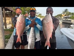 DINOSAUR sized FISH! (Key West Fishing)