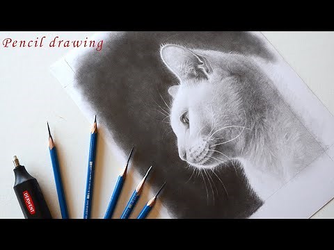 【鉛筆画】猫を超リアルに描く方法「鉛筆デッサン」/イラストメイキング/油絵の下絵/pencil drawing