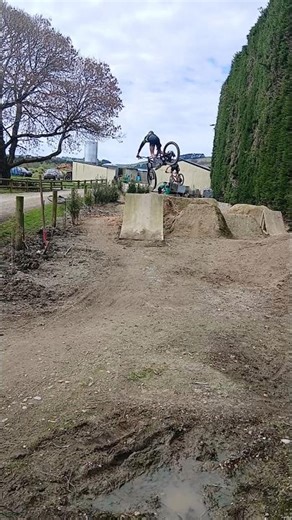 Mtb Whips.🤙☠️ #mtb #sendit #whips #shorts