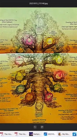 Center Triad🔺️Essene Tree of Life.