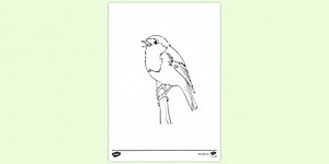 Birds in Winter Colouring Page