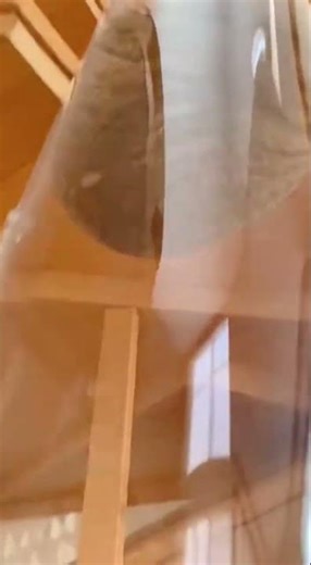 Installed a pneumatic transport system for the cat 🚀