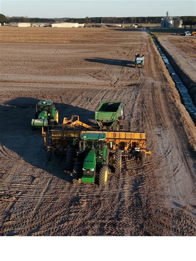 Plantin Taters: The Art of Potato Farming