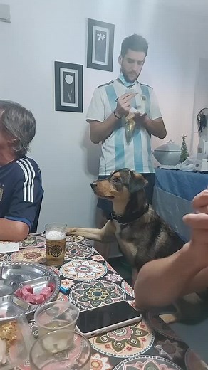 Alicia Monica Martin on TikTok