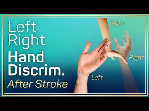 Left Right Discrimination Training Game for Stroke | 100 GMI Images | Occupational Therapy Recovery