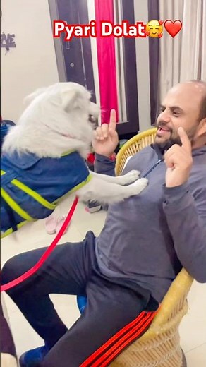 Pyari Dolat🥰❤️ #viralvideo #trendingsong #trending #funny #comedysong #shortsfeed #doglover #shorts