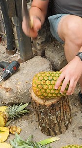 How About Peeling Pineapple in a Minute?! | Crafty Panda How