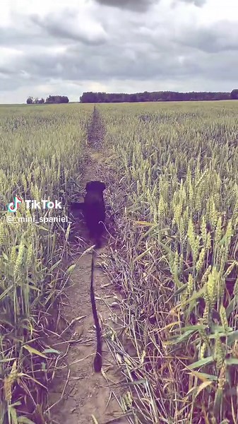 🩷@Nutkaaa😍❤️ @Diego😻🌾