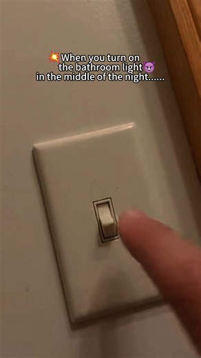 Effective Dinotefuran Insecticide for Cockroach Control