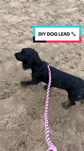 easy diy dog lead 🐾
