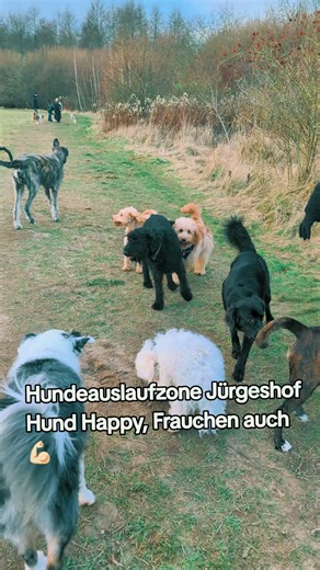 Zimo Emilfie (@zimovanderkueste)’s videos with som original - Hitsperfeitos