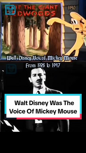 Did you know Walt Disney was the original voice of Mickey Mouse? Here is a look back at him voicing the iconic Disney Mouse #disney100 #waltdisney #waltereliasdisney #mickeymouse