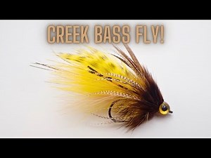 Feather Fish Smallmouth Bass Streamer Quick Look Plus Tips!