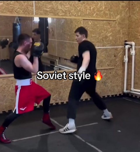 Exploring Unique Boxing Styles: From Soviet to Swarmers