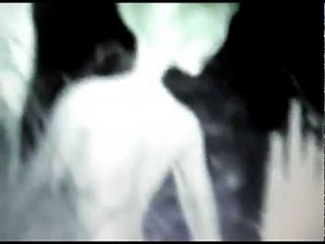 Tall Grey EBE footage (Mexico)