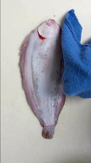 🐠 Expert Fish Prep: Skinning a Whole Dover Sole
