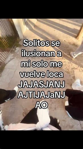Solitos se ilusionan a mí solo me vuelve loca JAJASJANJAJTIJAJaNJAO