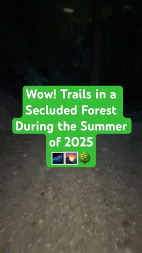 Great Trails in a Secluded Forest During Summer 2025 🌌🌄🌳 #hikingtrails #summer #memories