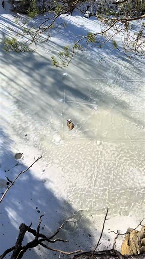 EGGMASTER (@egg.master44)’s video of hell yeah core