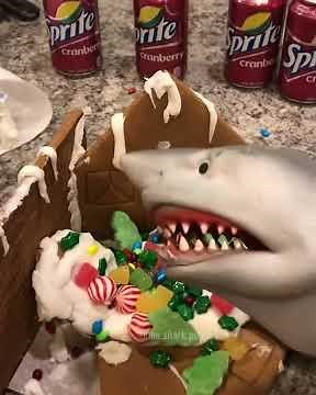 Shark puppet builds a gingerbread house