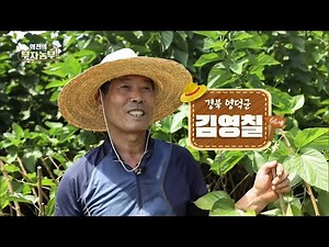 [역전의 부자농부_162회] 양잠 농가 운영으로 연 매출 6억 원을? '경북 영덕군_김영칠 부자농부 '