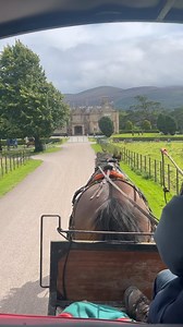 1.7K views · 106 reactions | There’s so much to see on our doorstep  Journey through Killarney National Park with a Jaunting Car Tour. Take in the sights at Muckross House & Gardens, the Lakes of Killarney, Muckross Abbey, the Yew Tree and Torc Waterfall  #onourdoorstep #lakehotelkillarney #killarneynationalpark #escapetothelake #lovekillarney #experiencekerry #discoverireland #summervibes #autumnescape #jauntingcar #killarneydaytour #irishexplorer | Lake Hotel Killarney | Facebook