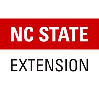Tips for Handling Family Stress After A Disaster | NC State Extension Publications