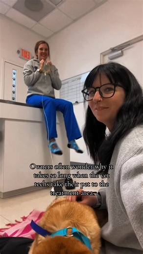 Understanding Vet Tech's Role in Pet Treatment