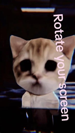 actually rotate your screen if u need to