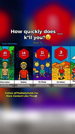 Intriguing Comparisons That Will Surprise You