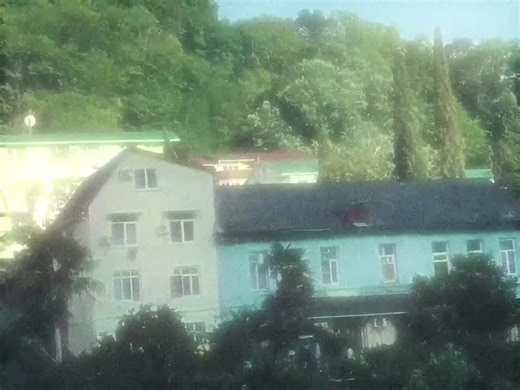 Exploring Rural Landscapes: Trees and Scenic Views