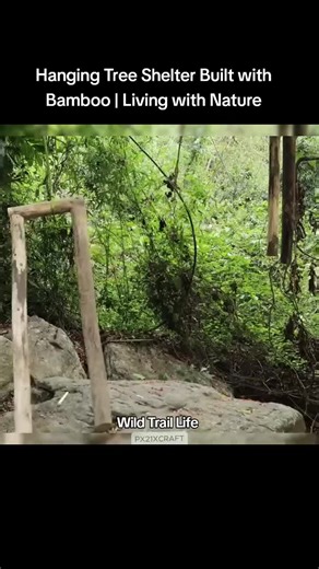 Building a Hanging Tree Shelter with Bamboo