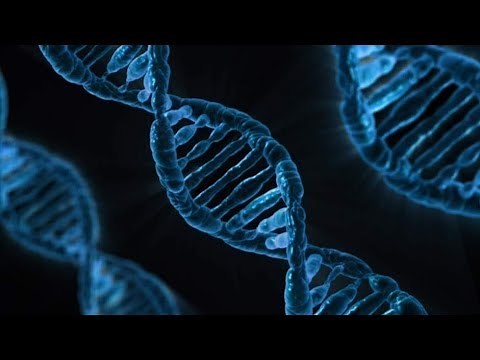 Alexander Oparin El origen De La Vida Resumen - Explicación - Temáticas - Síntesis