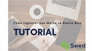 En este video hablamos de cómo registrar una marca en Puerto Rico en 10 minutos. ¡Dale 👍🏼 y compartelo con los empresarios y empresarias que conozcas! Información de Contacto: Alexiomar D. Rodríguez López www.seedlawpr.com. arodriguez@seedlawpr.com 787-647-9248. IG: @seedlawllc Twitter: @seedlawpr Seed Law, LLC The information provided in this video should not be construed or relied on as legal advice for any specific fact or circumstance. Its content was prepared by Seed Law, LLC, with its pr