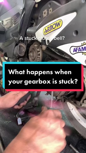 Scooter Narcotics on TikTok