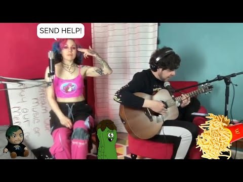 AVGN Theme Song (at 00:40)