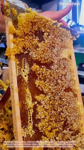 Golden Harvest! Honeycomb Uncapping Technique