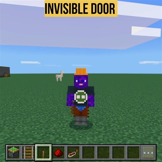 Don't make this invisible 🫥 door 🚪 in minecraft #minecraftideas #minecraft #gaming #shorts