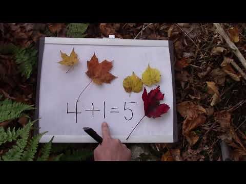Grade 1: Math Lesson #25 Writing Number Sentences For Addition Stories