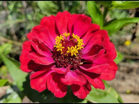 Historic La Jolla Bike Path Easy Walk Near San Diego