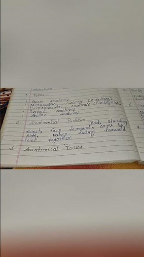 Anatomical Position Explained | Basic Anatomy | BPT