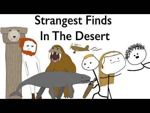 Strangest Finds In The Desert