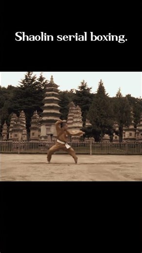 Shaolin serial boxing. #martialarts #wushufight #kungfu