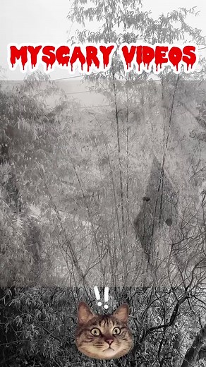 7.4K views · 31 reactions | Fun Times on Reels | Facebook