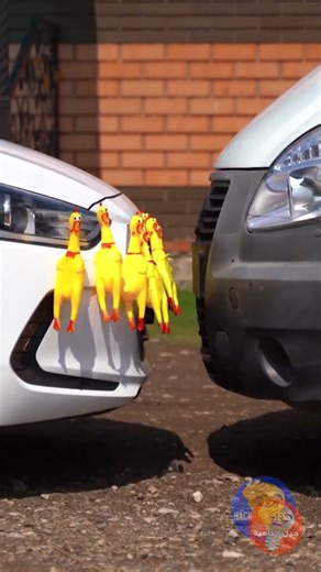 حيل مرحة وسخيفة لسيارتك 🚗 ستريك الحرف الخمس دقائق كيف تقود 😎