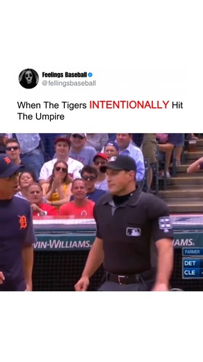 431K views · 3.1K reactions | Ump showin' off reflexes! What's the call?! 勞 . . #baseball #MLB #fblifestyle | Feelings Baseball | Facebook