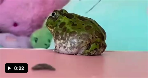 Aye aye captain.. - Video